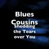 Shedding the Tears over You - Single album lyrics, reviews, download