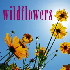 Wildflowers - Single by Morales album reviews, ratings, credits