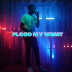 Flood My Wrist - Single by Rayy Dubb album reviews, ratings, credits