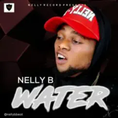 Water - Single by Nelly B album reviews, ratings, credits