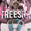 TREESHA - Single album lyrics, reviews, download