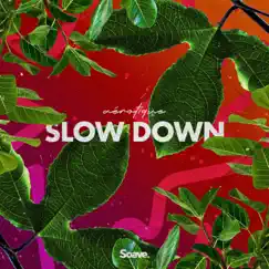 Slow Down - Single by Aérotique album reviews, ratings, credits