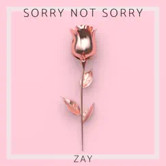 Sorry Not Sorry - Single by ZAY album reviews, ratings, credits