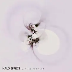 Life Is Perfect by Halo Effect album reviews, ratings, credits