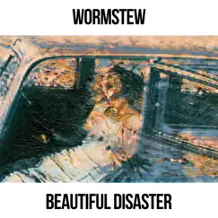 Beautiful Disaster - Single by Wormstew album reviews, ratings, credits