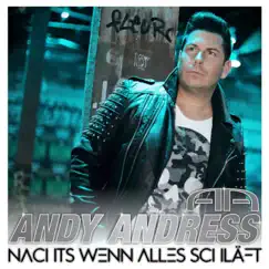 Nachts wenn alles schläft - Single by Andy Andress album reviews, ratings, credits