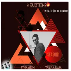 What If (feat. Dineo) - Single by Tabula Rasa & Sthamzen album reviews, ratings, credits