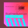Biafran Sunrise - Single album lyrics, reviews, download