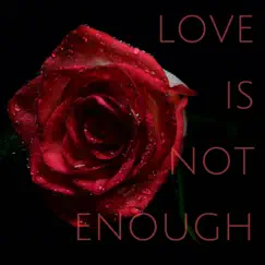 Love Is Not Enough - Single by Zachary Nelson album reviews, ratings, credits