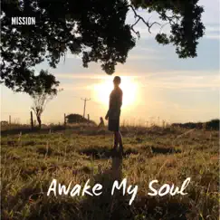 Awake My Soul - Single by Mitch Greengrass album reviews, ratings, credits