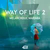 Way of Life 2 - Melancholic Marimba album lyrics, reviews, download