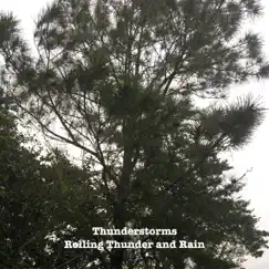 Rolling Thunder and Rain - Single by Thunderstorms album reviews, ratings, credits