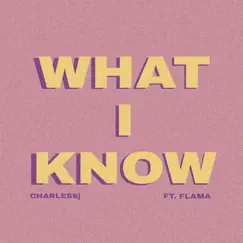 WHAT I KNOW (feat. Flama) Song Lyrics