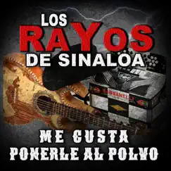 Me Gusta Ponerle al Polvo by Los Rayos De Sinaloa album reviews, ratings, credits