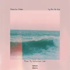 Still Standin' (feat. Sy Ari) - Single by Quentin Miller album reviews, ratings, credits