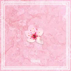 Cherry Blossoms (feat. Prie) Song Lyrics