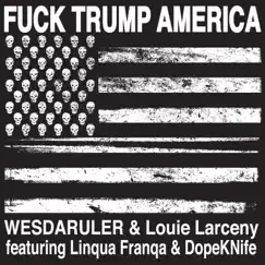 F**k Trump America (feat. Louie Larceny, Linqua Franqa & Dope Knife) Song Lyrics