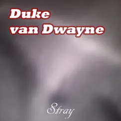 Stray - Single by Duke Van Dwayne album reviews, ratings, credits