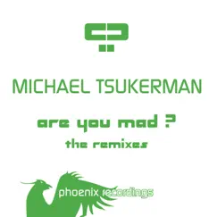Are You Mad? (The Remixes) - EP by Michael Tsukerman album reviews, ratings, credits