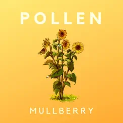Pollen Song Lyrics