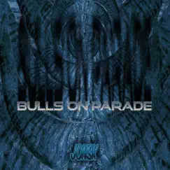 Bulls on Parade Song Lyrics