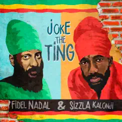 Joke the Ting (feat. Sizzla) - Single by Fidel & Sizzla album reviews, ratings, credits