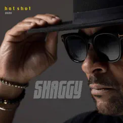 Hot Shot 2020 (Deluxe Edition) by Shaggy album reviews, ratings, credits