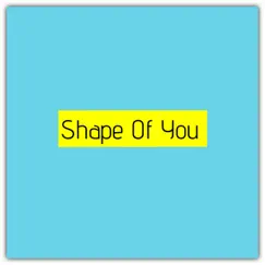 Shape of You Song Lyrics
