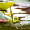 Sunset on the Wetlands album lyrics, reviews, download