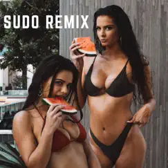 Sudo (Remix) [feat. Miguelito, Tiam Soulboy, alex la revelacion & Chulo Style] - Single by Romeroyjvic album reviews, ratings, credits