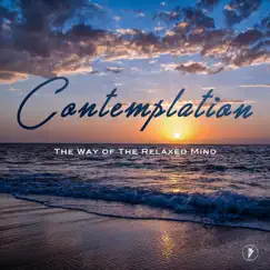 Contemplation by Ben Bladz album reviews, ratings, credits