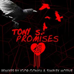 Promises (Igor Gonya Promising Dub) Song Lyrics