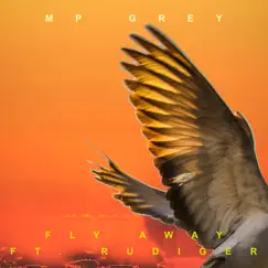 Fly Away (feat. Rudiger) Song Lyrics