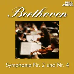 Sinfonie No. 4 für Orchester in B-Flat Major, Op. 60: I. Adagio - Allegro vivace Song Lyrics
