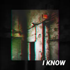 I Know - Single by Bo Zølner album reviews, ratings, credits