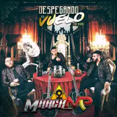 Despegando el Vuelo (En Vivo) by Marca MP album reviews, ratings, credits