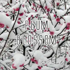 Plum Blossom - Single by T4d Beats album reviews, ratings, credits