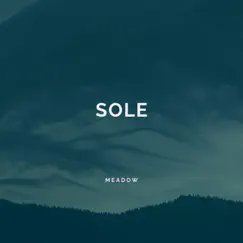 Sole - Single by M e a d o w album reviews, ratings, credits