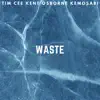 Waste (feat. Kent Osborne & Kemosabi) - Single album lyrics, reviews, download