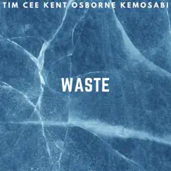 Waste (feat. Kent Osborne & Kemosabi) Song Lyrics