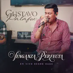 Venganza Perfecta: En Vivo Desde Casa - Single by Gustavo Palafox album reviews, ratings, credits