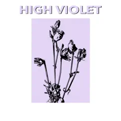 High Violet Song Lyrics