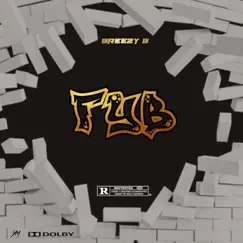 Fyb - Single by King Breezyb album reviews, ratings, credits