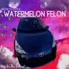 Watermelon Felon album lyrics, reviews, download