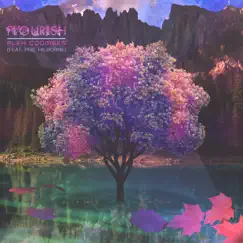 Flourish (feat. Phil Hilborne) Song Lyrics