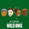 Wild RMX (feat. Melan, Kenyon & Rootwords) - Single album lyrics, reviews, download