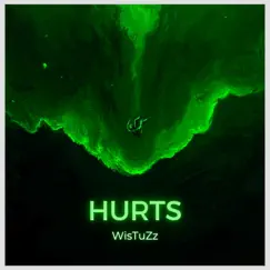 Hurts (Radio Edit) - Single by WisTuZz album reviews, ratings, credits