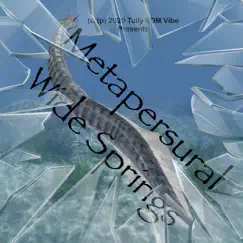Wide Springs (Diamond) - Single by Metapersural album reviews, ratings, credits