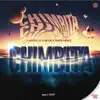CHIMBITA (feat. Sebita Benee & Nicok) - Single album lyrics, reviews, download
