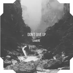 Don't Give Up Song Lyrics